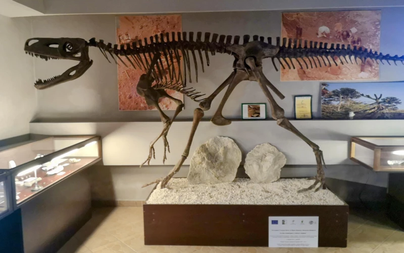 DLA GRUP ZORGANIZOWANYCH