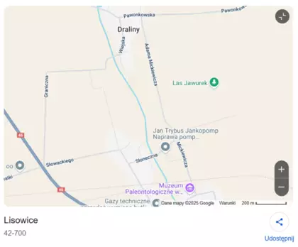 Zrzut z ekranu z Google maps z drogą dojazdową od strony Dralin i ulicy Pawonowskiej. Link: https://g.co/kgs/YfwgysU