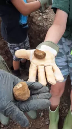 Koprolity na rękawicach.