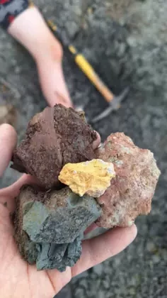 Zdjęcie różnokolorowych próbek geologicznych.