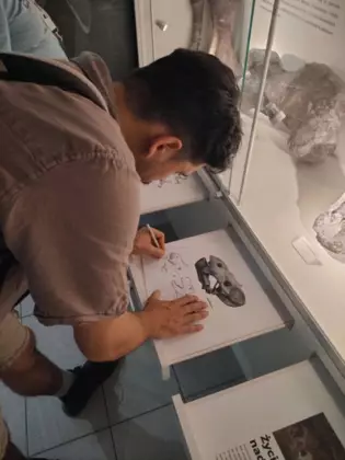 Mężczyzna odrysowujący czaszkę dicynodonta.