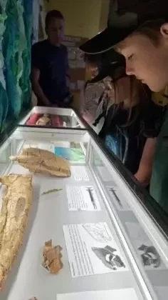 Dzieci zaglądają do gabloty ze skamieniałościami.