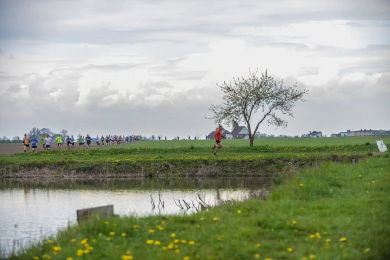 IV Ogólnopolski Bieg Tropami Śląskich Dinozaurów - 1 V 2015