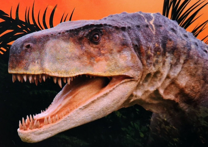 NOC MUZEÓW 2022 !!!