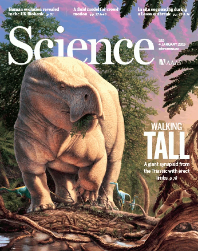 LISOWICIA BOJANI na okładce SCIENCE