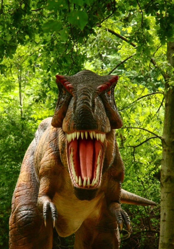 Wyniki konkursu fotograficznego pt.: DINOZAURY W OBIEKTYWIE