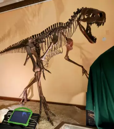 Zdjęcie rzeźby szkieletu dinozaura nazwanego Smok wawelski. Przed nim tablet.