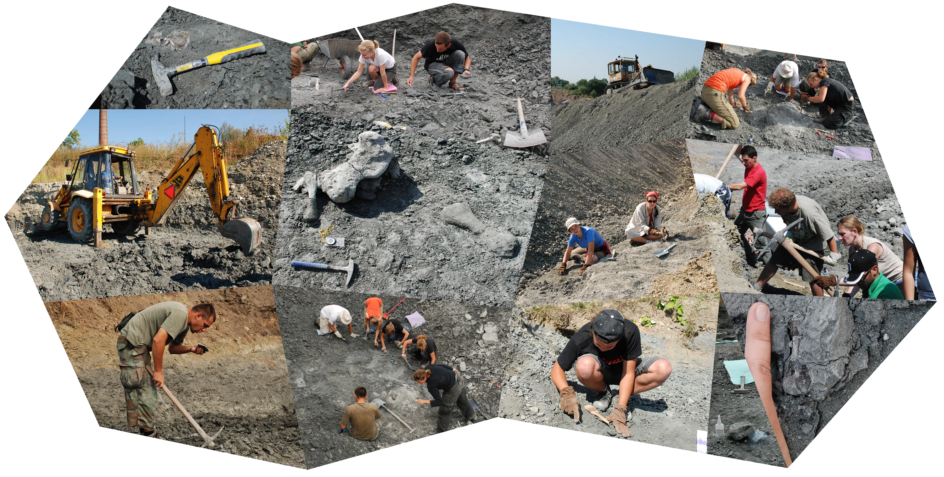 849adf-wykopaliska.webp