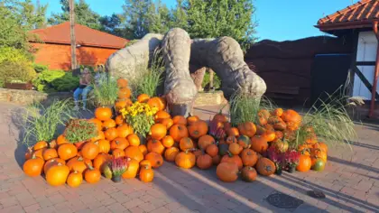 Na zdjęciu widać gigantyczne trójpalczaste szpony dinozaura, które wbijają się między dynie leżące na ziemi.
