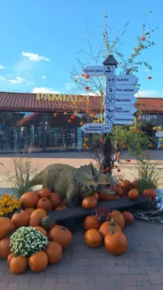 Na zdjęciu widać drogowskaz w JuraParku w Krasiejowie. Dookoła niego leży bardzo dużo dyń. Koło niego stoi mały triceratops. Za nim widać parterowy sklep z pamiątkami.