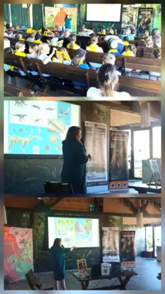 Mozaika trzech poziomych zdjęć przedstawia prezentację Muzeum Paleontologicznego w Lisowicach. Na górnym zdjęciu widać dużo dzieci w żółtych chustkach na szyi, dzieci siedzą na drewnianych ławach ustawionych w rzędy, słuchają prezentacji.Na środkowym zdjęciu widać kobietę, która przedstawia prezentację wyświetloną na ekranie. Na ekranie widać zwierzęta z końca triasu i skamieniałości. Na dolnym zdjęciu widać tą samą kobietę, która opowiada o dinozaurach.