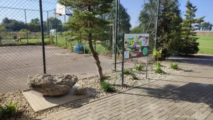 Przed ogrodzeniem z metalowej siatki rosną paprocie i drzewo iglaste, a obok stoi skamieniały zlepieniec muszlowy.