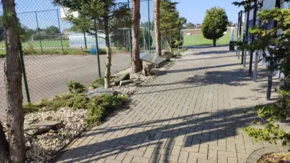 Ścieżka wyłożona kostką. Po bokach drzewa iglaste.