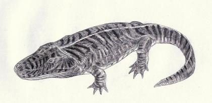 3c09bf-cyklotozaur.jpg